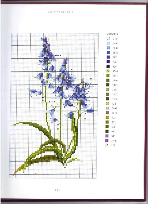 POINTS DE CROIX OU COMPTES