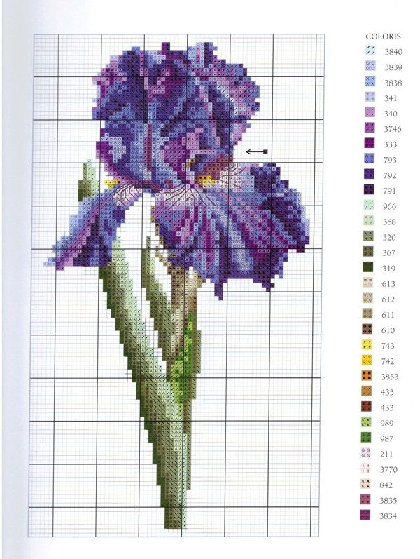 POINTS DE CROIX OU COMPTES