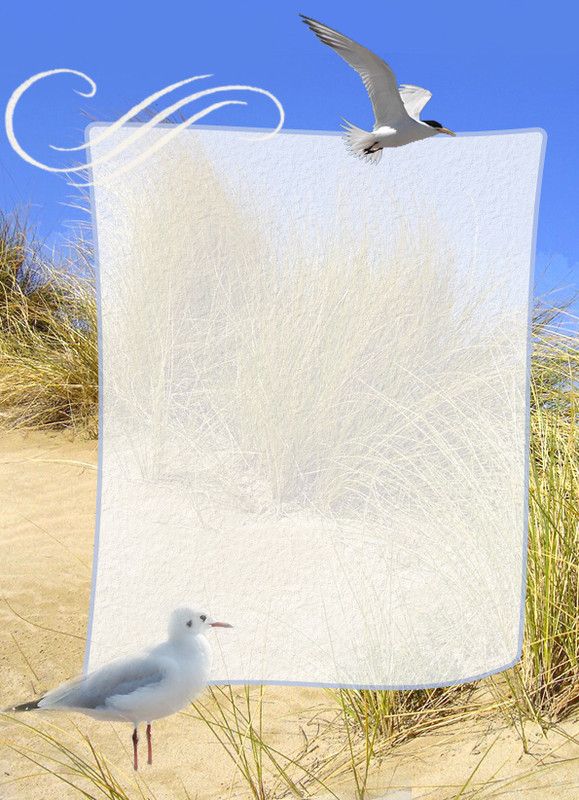 PAPIER A LETTRE LA MER