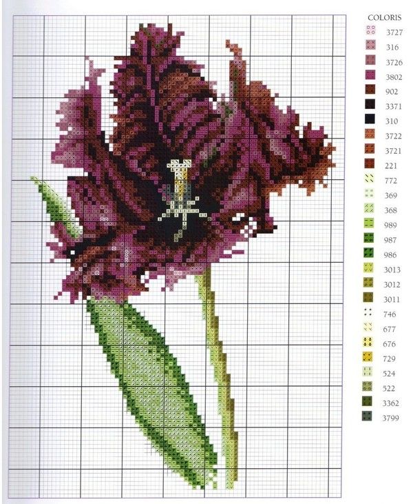 POINTS DE CROIX OU COMPTES